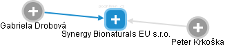 Synergy Bionaturals EU s.r.o. - náhled vizuálního zobrazení vztahů obchodního rejstříku