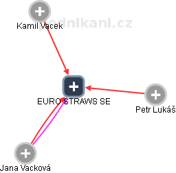EURO STRAWS SE - náhled vizuálního zobrazení vztahů obchodního rejstříku