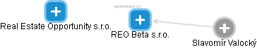 REO Beta s.r.o. - náhled vizuálního zobrazení vztahů obchodního rejstříku