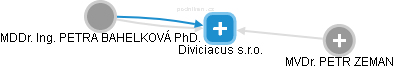 Diviciacus s.r.o. - náhled vizuálního zobrazení vztahů obchodního rejstříku