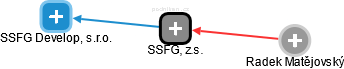 SSFG, z.s. - náhled vizuálního zobrazení vztahů obchodního rejstříku