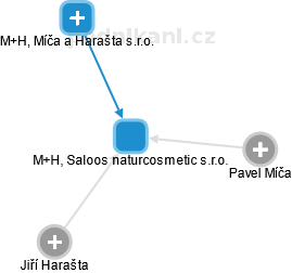 M+H, Saloos naturcosmetic s.r.o. - náhled vizuálního zobrazení vztahů obchodního rejstříku