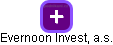 Evernoon Invest, a.s. - náhled vizuálního zobrazení vztahů obchodního rejstříku