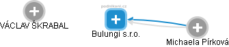 Bulungi s.r.o. - náhled vizuálního zobrazení vztahů obchodního rejstříku