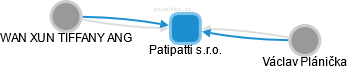 Patipatti s.r.o. - náhled vizuálního zobrazení vztahů obchodního rejstříku