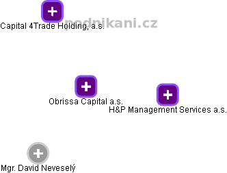 Obrissa Capital a.s. - náhled vizuálního zobrazení vztahů obchodního rejstříku