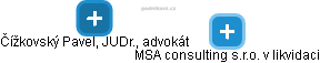 MSA consulting s.r.o. v likvidaci - náhled vizuálního zobrazení vztahů obchodního rejstříku