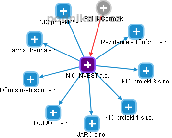 NIC INVEST a.s. - náhled vizuálního zobrazení vztahů obchodního rejstříku