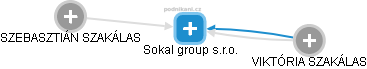 Sokal group s.r.o. - náhled vizuálního zobrazení vztahů obchodního rejstříku