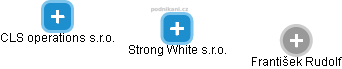 Strong White s.r.o. - náhled vizuálního zobrazení vztahů obchodního rejstříku