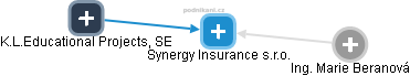 Synergy Insurance s.r.o. - náhled vizuálního zobrazení vztahů obchodního rejstříku