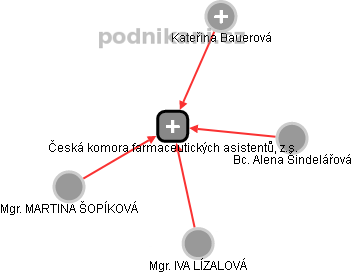 Česká komora farmaceutických asistentů, z.s. - náhled vizuálního zobrazení vztahů obchodního rejstříku