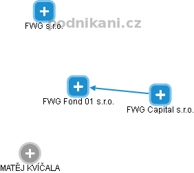 FWG Fond 01 s.r.o. - náhled vizuálního zobrazení vztahů obchodního rejstříku