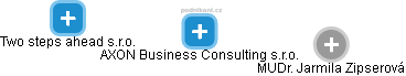 AXON Business Consulting s.r.o. - náhled vizuálního zobrazení vztahů obchodního rejstříku
