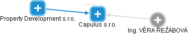 Capulus s.r.o. - náhled vizuálního zobrazení vztahů obchodního rejstříku