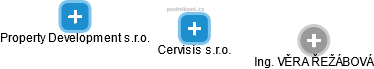 Cervisis s.r.o. - náhled vizuálního zobrazení vztahů obchodního rejstříku