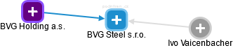 BVG Steel s.r.o. - náhled vizuálního zobrazení vztahů obchodního rejstříku
