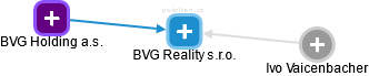 BVG Reality s.r.o. - náhled vizuálního zobrazení vztahů obchodního rejstříku