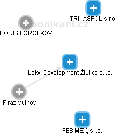 Lekvi Development Žlutice s.r.o. - náhled vizuálního zobrazení vztahů obchodního rejstříku