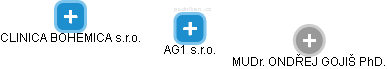 AG1 s.r.o. - náhled vizuálního zobrazení vztahů obchodního rejstříku