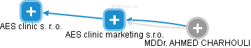 AES clinic marketing s.r.o. - náhled vizuálního zobrazení vztahů obchodního rejstříku