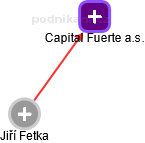 Capital Fuerte a.s. - náhled vizuálního zobrazení vztahů obchodního rejstříku