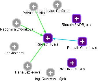 Riocath IP, a.s. - náhled vizuálního zobrazení vztahů obchodního rejstříku