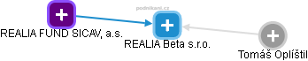 REALIA Beta s.r.o. - náhled vizuálního zobrazení vztahů obchodního rejstříku