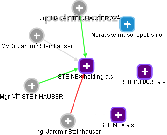 STEINEX holding a.s. - náhled vizuálního zobrazení vztahů obchodního rejstříku