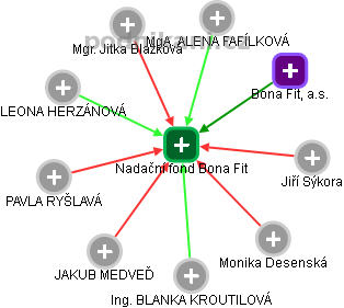 Nadační fond Bona Fit - náhled vizuálního zobrazení vztahů obchodního rejstříku