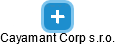 Cayamant Corp s.r.o. - náhled vizuálního zobrazení vztahů obchodního rejstříku