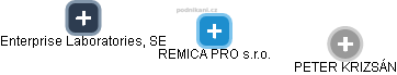 REMICA PRO s.r.o. - náhled vizuálního zobrazení vztahů obchodního rejstříku