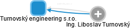 Turnovský engineering s.r.o. - náhled vizuálního zobrazení vztahů obchodního rejstříku