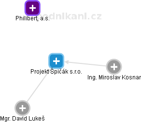 Projekt Špičák s.r.o. - náhled vizuálního zobrazení vztahů obchodního rejstříku