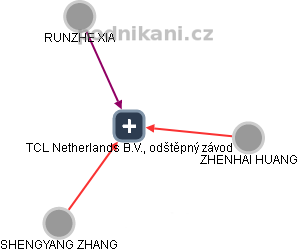TCL Netherlands B.V., odštěpný závod - náhled vizuálního zobrazení vztahů obchodního rejstříku