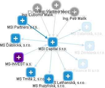 MSI Capital s.r.o. - náhled vizuálního zobrazení vztahů obchodního rejstříku