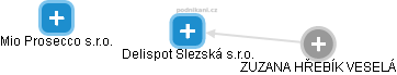 Delispot Slezská s.r.o. - náhled vizuálního zobrazení vztahů obchodního rejstříku
