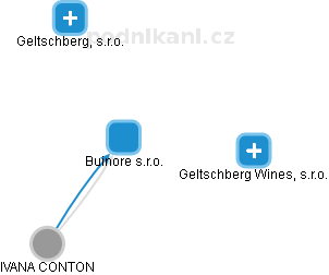 Buinore s.r.o. - náhled vizuálního zobrazení vztahů obchodního rejstříku