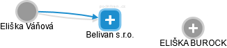 Belivan s.r.o. - náhled vizuálního zobrazení vztahů obchodního rejstříku