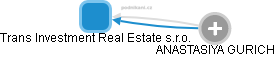 Trans Investment Real Estate s.r.o. - náhled vizuálního zobrazení vztahů obchodního rejstříku