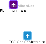 TCF-Cap Services s.r.o. - náhled vizuálního zobrazení vztahů obchodního rejstříku