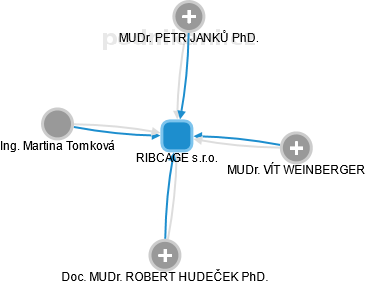 RIBCAGE s.r.o. - náhled vizuálního zobrazení vztahů obchodního rejstříku