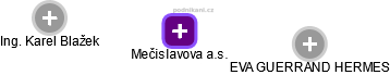 Mečislavova a.s. - náhled vizuálního zobrazení vztahů obchodního rejstříku
