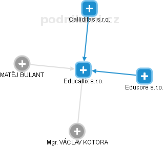 Educallix s.r.o. - náhled vizuálního zobrazení vztahů obchodního rejstříku