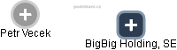 BigBig Holding, SE - náhled vizuálního zobrazení vztahů obchodního rejstříku