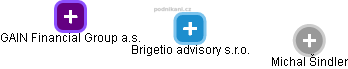 Brigetio advisory s.r.o. - náhled vizuálního zobrazení vztahů obchodního rejstříku