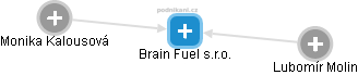 Brain Fuel s.r.o. - náhled vizuálního zobrazení vztahů obchodního rejstříku