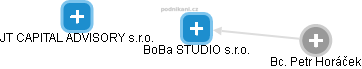 BoBa STUDIO s.r.o. - náhled vizuálního zobrazení vztahů obchodního rejstříku