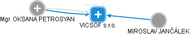 VICSOF s.r.o. - náhled vizuálního zobrazení vztahů obchodního rejstříku