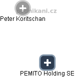 PEMITO Holding SE - náhled vizuálního zobrazení vztahů obchodního rejstříku